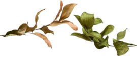 262e2778-81b3-4234-95e7-49c34af64aff